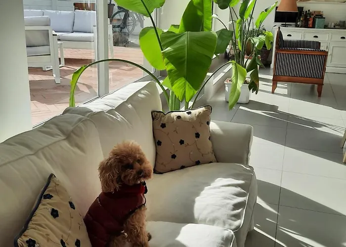 Bed & Breakfast Mon Pays