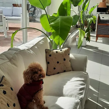 Bed and Breakfast Mon Pays